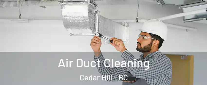  Air Duct Cleaning Cedar Hill - BC