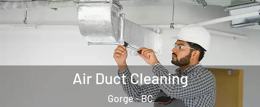  Air Duct Cleaning Gorge - BC