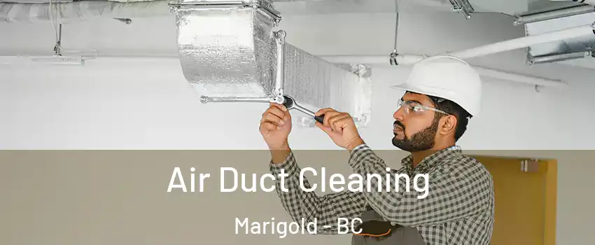  Air Duct Cleaning Marigold - BC