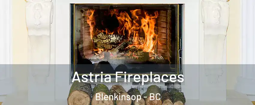 Astria Fireplaces Blenkinsop - BC