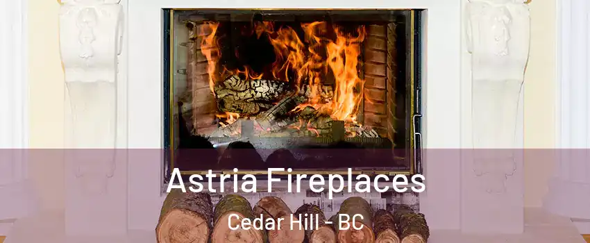  Astria Fireplaces Cedar Hill - BC