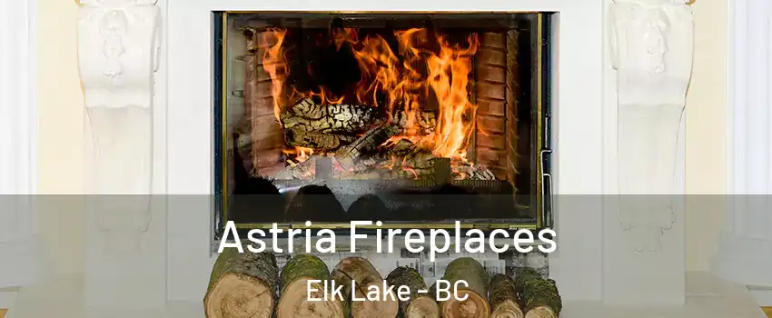  Astria Fireplaces Elk Lake - BC