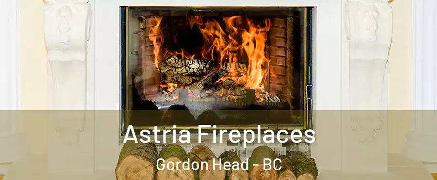  Astria Fireplaces Gordon Head - BC
