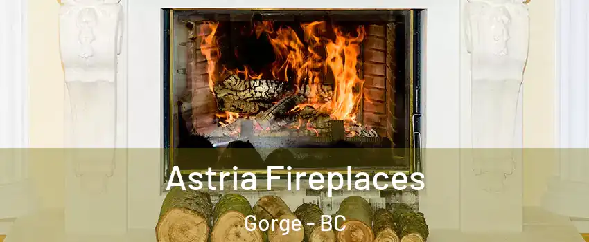  Astria Fireplaces Gorge - BC