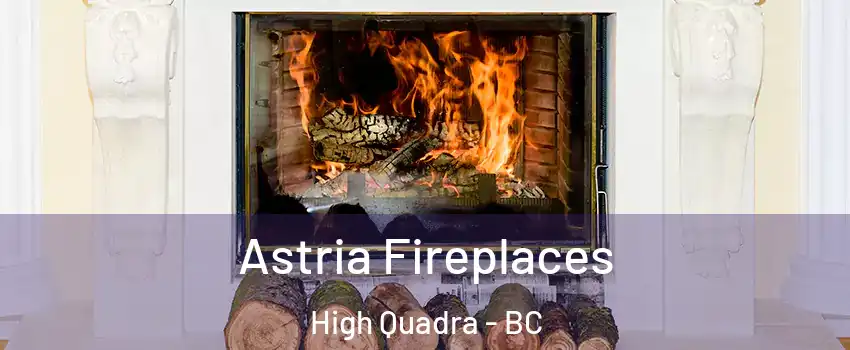  Astria Fireplaces High Quadra - BC