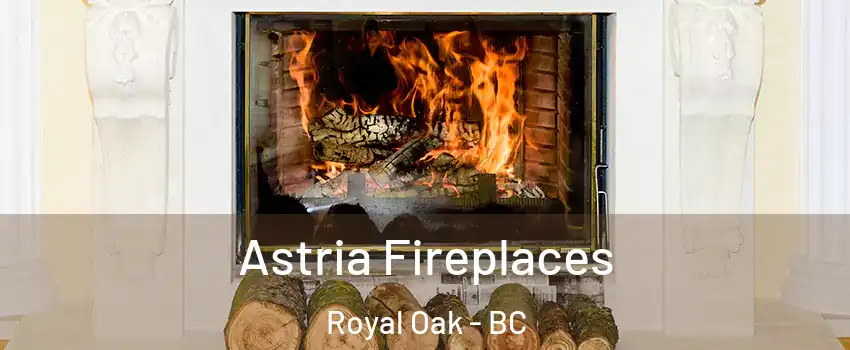  Astria Fireplaces Royal Oak - BC