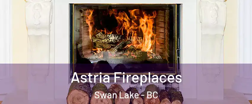  Astria Fireplaces Swan Lake - BC