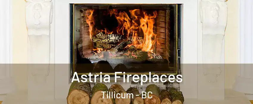 Astria Fireplaces Tillicum - BC