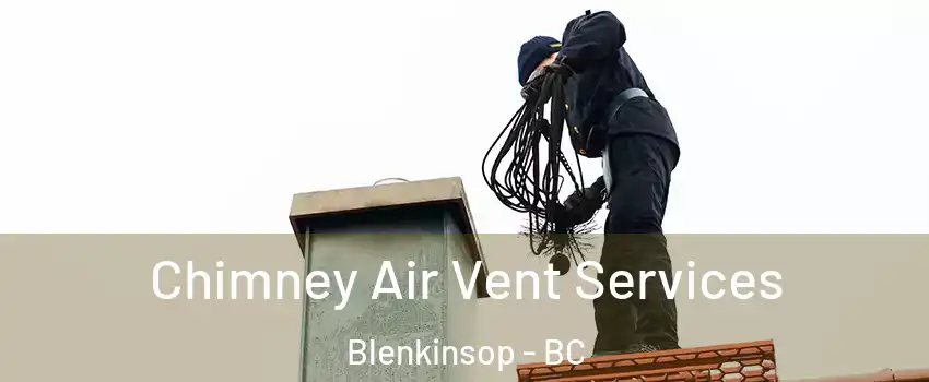  Chimney Air Vent Services Blenkinsop - BC