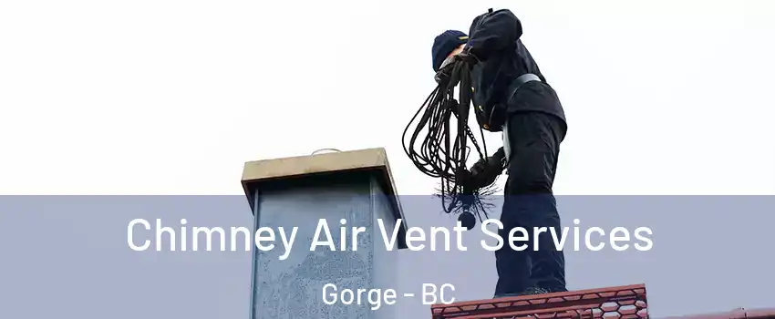 Chimney Air Vent Services Gorge - BC