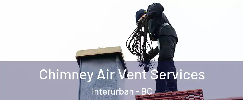 Chimney Air Vent Services Interurban - BC