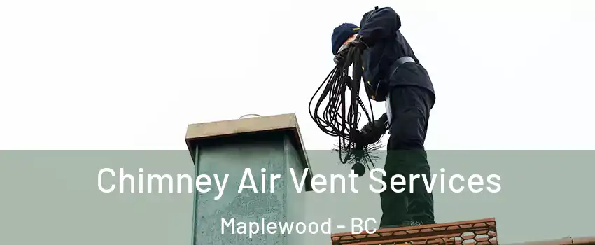  Chimney Air Vent Services Maplewood - BC