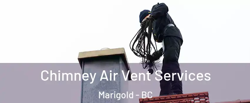 Chimney Air Vent Services Marigold - BC