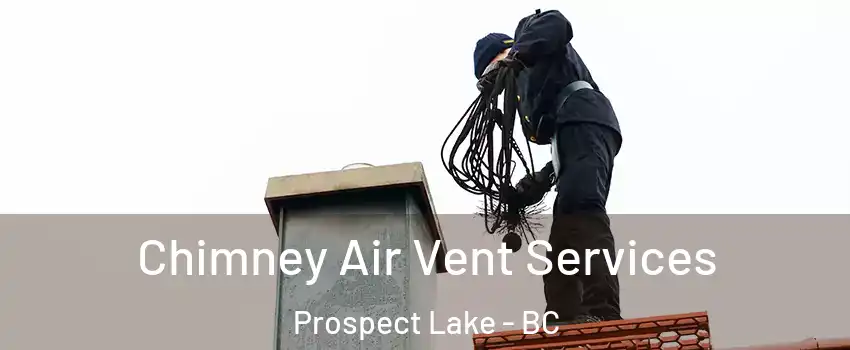  Chimney Air Vent Services Prospect Lake - BC