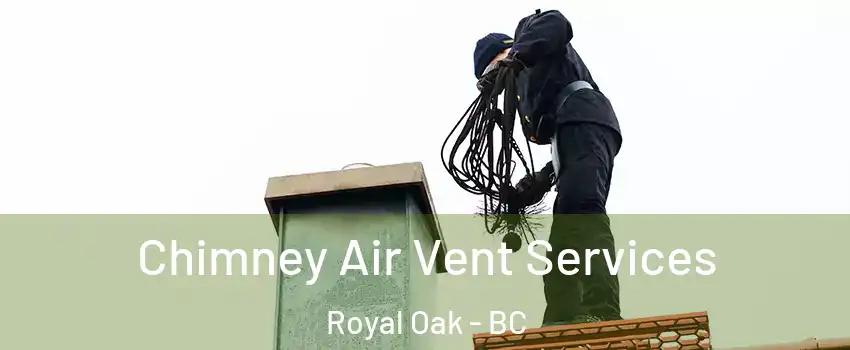  Chimney Air Vent Services Royal Oak - BC