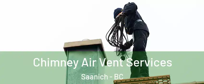  Chimney Air Vent Services Saanich - BC