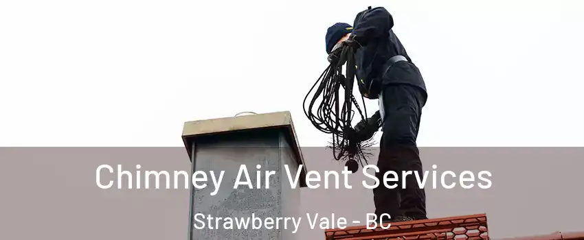  Chimney Air Vent Services Strawberry Vale - BC