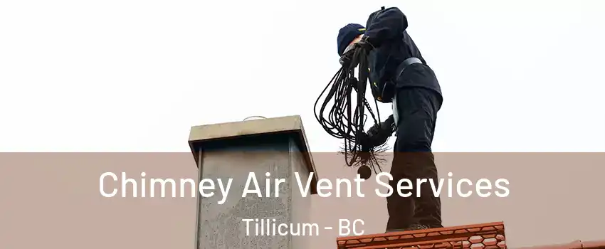 Chimney Air Vent Services Tillicum - BC