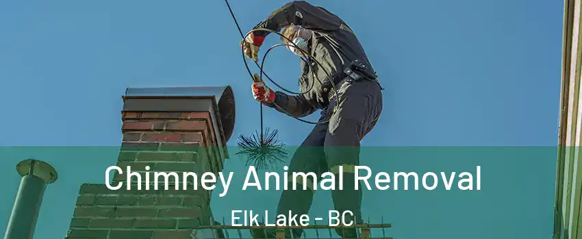  Chimney Animal Removal Elk Lake - BC