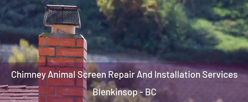  Chimney Animal Screen Repair And Installation Services Blenkinsop - BC