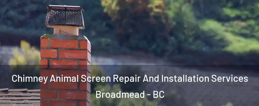 Chimney Animal Screen Repair And Installation Services Broadmead - BC