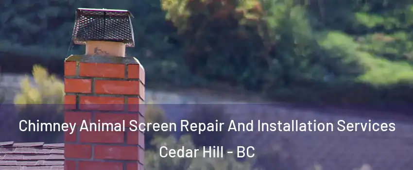  Chimney Animal Screen Repair And Installation Services Cedar Hill - BC