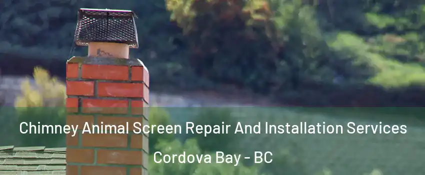  Chimney Animal Screen Repair And Installation Services Cordova Bay - BC
