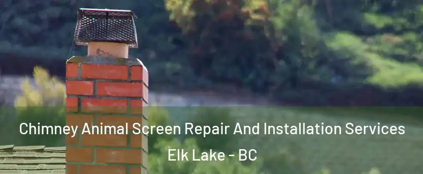  Chimney Animal Screen Repair And Installation Services Elk Lake - BC