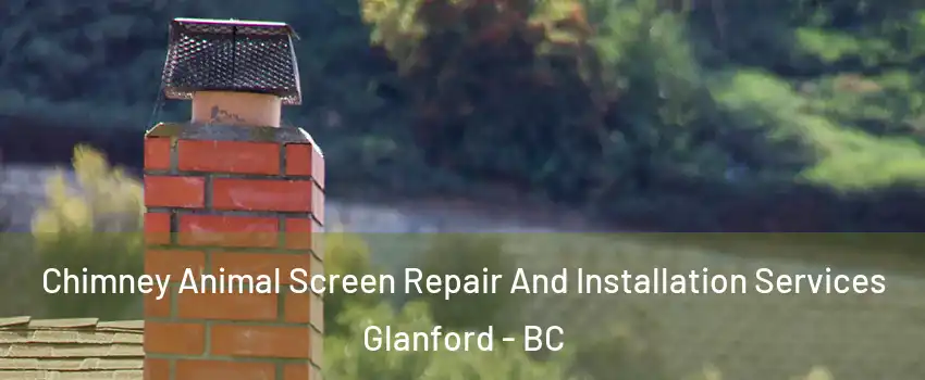  Chimney Animal Screen Repair And Installation Services Glanford - BC