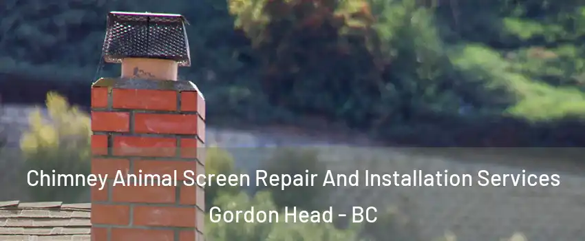  Chimney Animal Screen Repair And Installation Services Gordon Head - BC