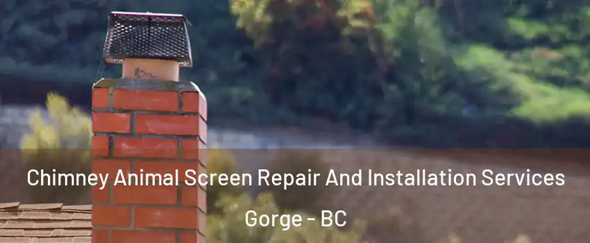  Chimney Animal Screen Repair And Installation Services Gorge - BC
