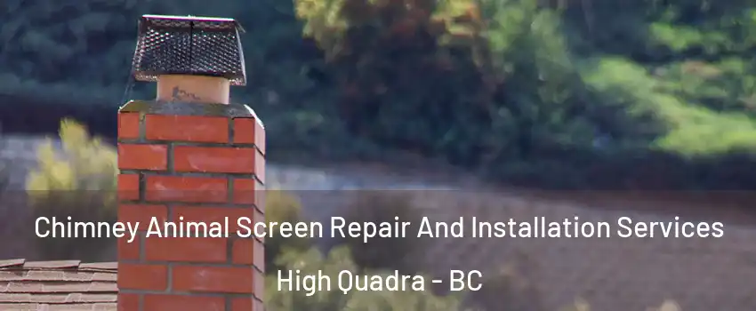 Chimney Animal Screen Repair And Installation Services High Quadra - BC