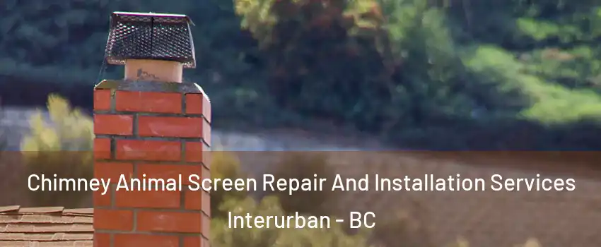  Chimney Animal Screen Repair And Installation Services Interurban - BC