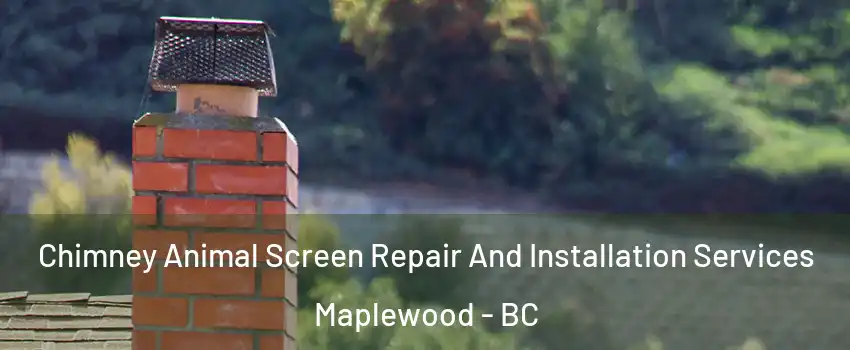  Chimney Animal Screen Repair And Installation Services Maplewood - BC
