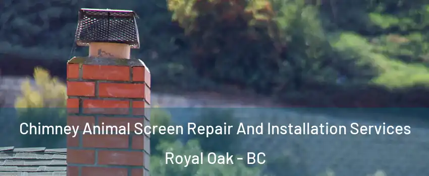  Chimney Animal Screen Repair And Installation Services Royal Oak - BC