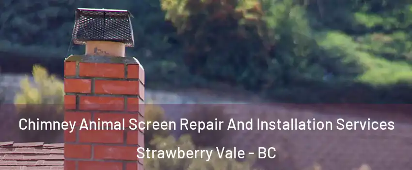  Chimney Animal Screen Repair And Installation Services Strawberry Vale - BC