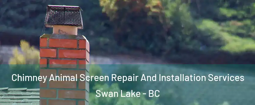  Chimney Animal Screen Repair And Installation Services Swan Lake - BC