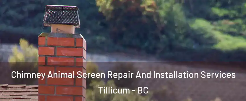  Chimney Animal Screen Repair And Installation Services Tillicum - BC