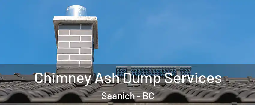  Chimney Ash Dump Services Saanich - BC