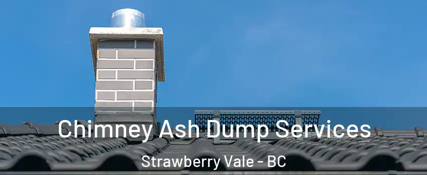  Chimney Ash Dump Services Strawberry Vale - BC
