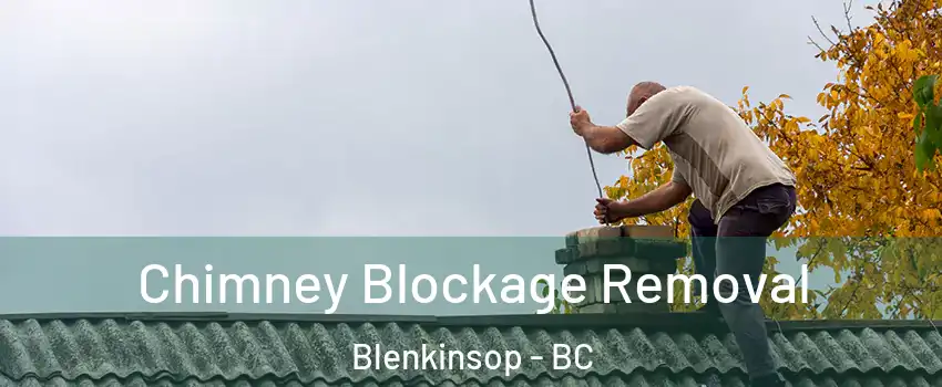  Chimney Blockage Removal Blenkinsop - BC