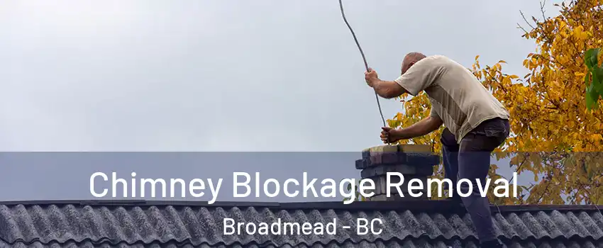 Chimney Blockage Removal Broadmead - BC