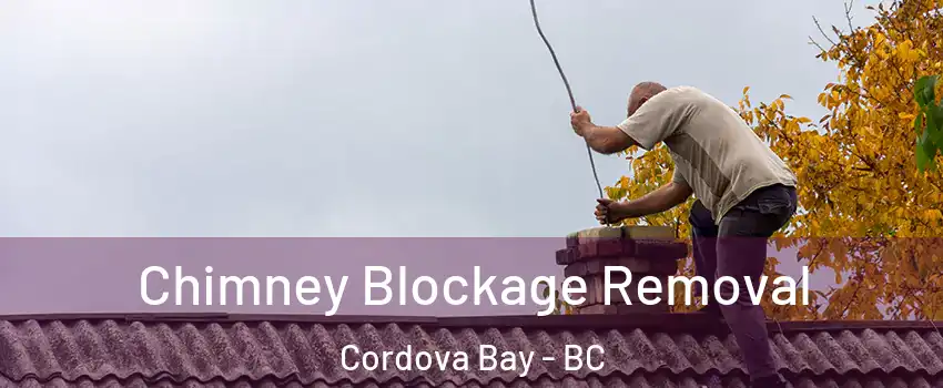  Chimney Blockage Removal Cordova Bay - BC