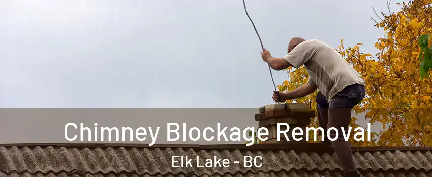  Chimney Blockage Removal Elk Lake - BC