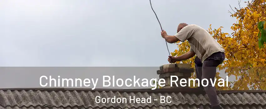 Chimney Blockage Removal Gordon Head - BC