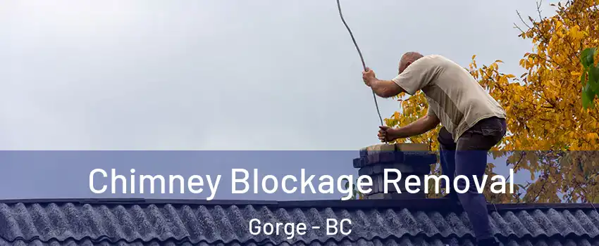  Chimney Blockage Removal Gorge - BC