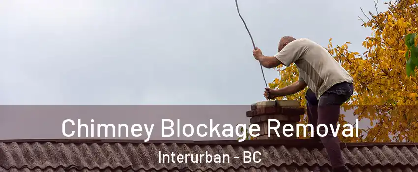  Chimney Blockage Removal Interurban - BC