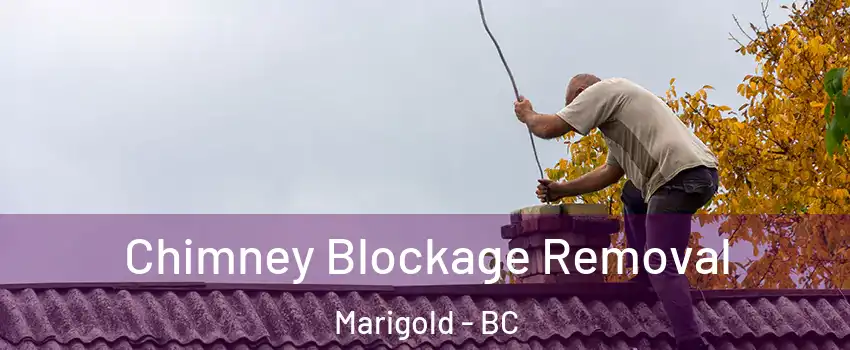  Chimney Blockage Removal Marigold - BC