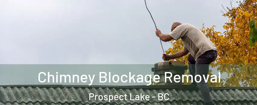  Chimney Blockage Removal Prospect Lake - BC