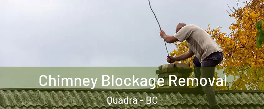  Chimney Blockage Removal Quadra - BC
